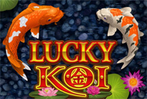 Lucky Koi